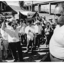 UFW strikers