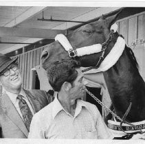 Edward R. King (in hat), retired admiral, National President of the Tennessee Walking Horse Association, with trainer Wink Groover and Groover's horse