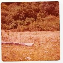 Photographs of landscape of Bolinas Bay