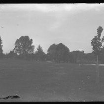 Negative, Glass Plate