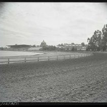 Negative, Safety, Unknown