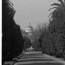 Walkway in Capitol Park