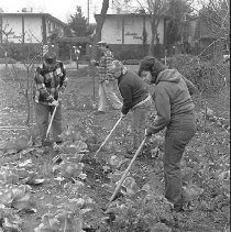 Community Garden