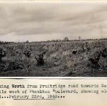 Print, Photographic, Black and White