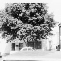 Redevelopement area block No. 461: 7th - 8th & R - S Streets