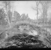 Negative, Glass Plate