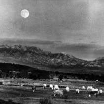 Modoc By Moonlight