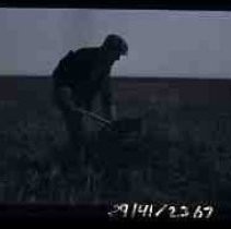 A man digging a hole in a field