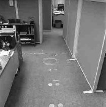 Negative, Safety, Unknown