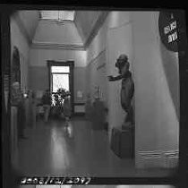 Negative, Safety, Unknown