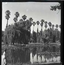 McKinley Park Pond