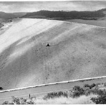 Oroville Dam poppy seeds