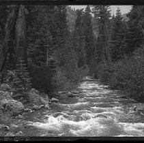 A rushing mountain stream