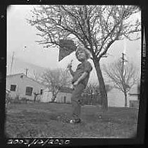 Negative, Safety, Unknown