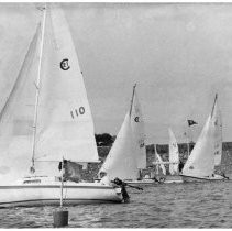Sailboats on Folsom Lake