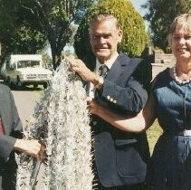 Tule Lake Linkville Cemetery Project 1989: Display with Paper Cranes