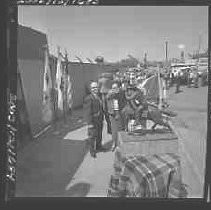 Negative, Safety, Unknown