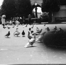 Panama--California Exposition, Arts and Crafts Building