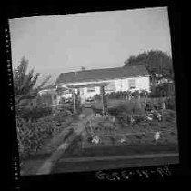 A vegetable garden