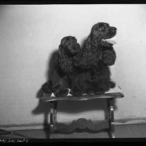 Negative, Safety, Unknown