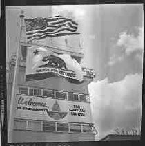 Negative, Safety, Unknown