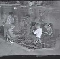 Negative, Safety, Unknown