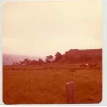 Photographs of landscape of Bolinas Bay