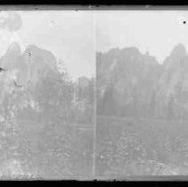 Negative, Glass Plate