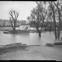 Negative, Safety, Unknown