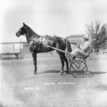 Harness Racer