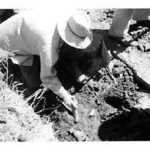 Drake's Bay. "F. Fenenga in excavation of 1948 - possible Drake's landing."