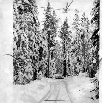 Heavy Snow in Tahoe Basin