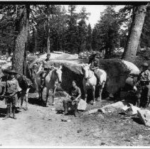 Boy Scout Camp