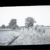 Negative, Safety, unknown