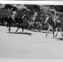 Mule ride at Catalina Island