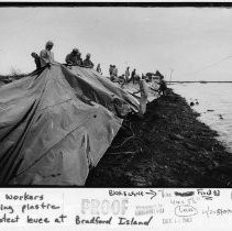 California Conservation Corps Covers Levee