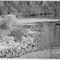 View of the American River near Coloma