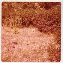 Photographs of landscape of Bolinas Bay