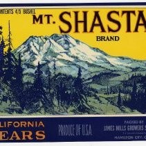 Mt. Shasta Brand