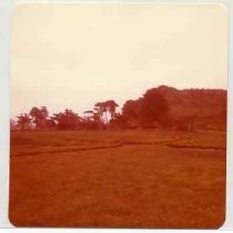 Photographs of landscape of Bolinas Bay