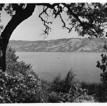 View of Clear Lake State Park in Lake County