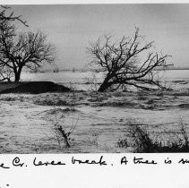 Cache Creek Levee Break