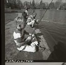 Negative, Safety, Unknown