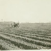 Tractor plowing a field