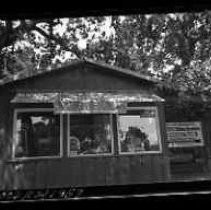 Negative, Safety, Unknown