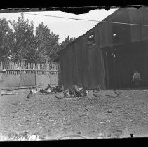 Negative, Glass Plate