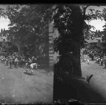 Negative, Glass Plate