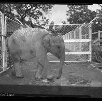 Negative, Safety, Unknown