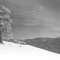 Sierra Nevada in Winter