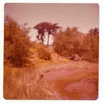 Photographs of landscape of Bolinas Bay